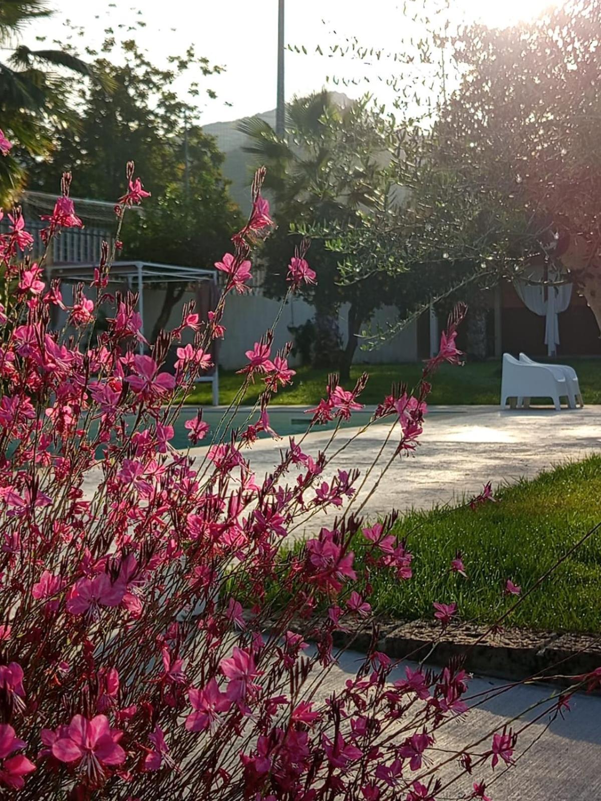 B&B Villa Limao Sarno Exteriér fotografie